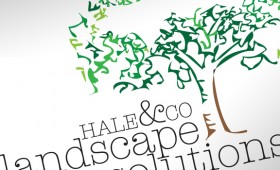 hale & co